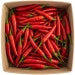 Papryka ostra ekologiczna (karton ok. 1 kg) (EKO)