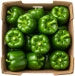 Papryka zielona ekologiczna (karton ok. 5 kg) (EKO)